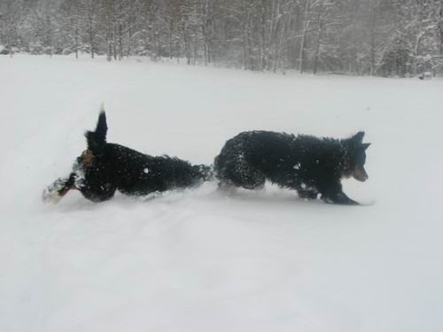 Atos na obisku pri Rini,28.12.2005 - foto povečava