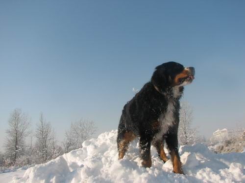 Lenny na obisku pri Rini,30.12.2005 - foto