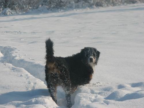 Lenny na obisku pri Rini,30.12.2005 - foto povečava