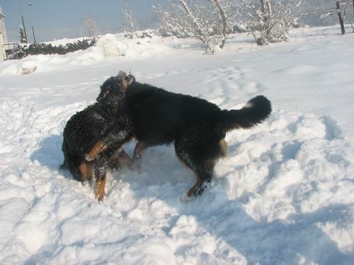 Lenny na obisku pri Rini,30.12.2005 - foto