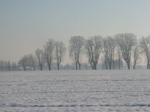 Atos na obisku pri Rini,20.1.2006(mengeško po - foto