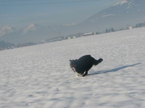 Atos na obisku pri Rini,20.1.2006(mengeško po - foto