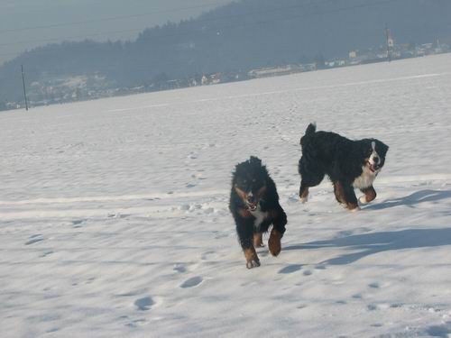 Atos na obisku pri Rini,20.1.2006(mengeško po - foto