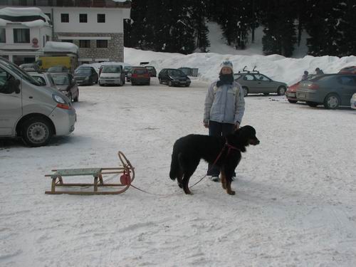 Pokljuka,22.1.2006 - foto povečava