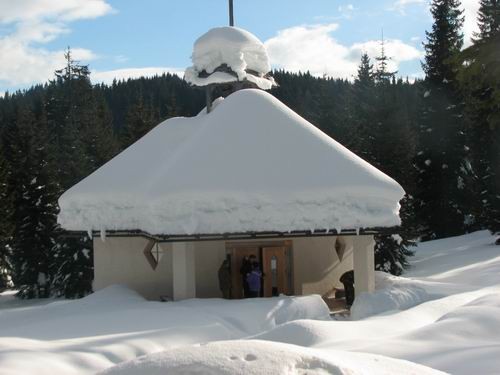 Pokljuka,22.1.2006 - foto povečava