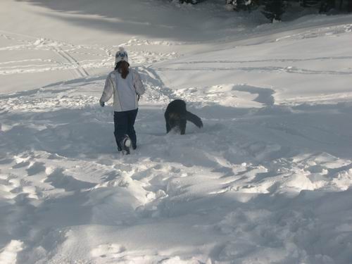 Pokljuka,22.1.2006 - foto