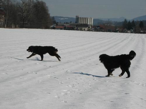 Atos na obisku pri Rini,11.2.2006(mengeško po - foto povečava