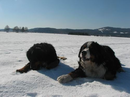 Atos na obisku pri Rini,11.2.2006(mengeško po - foto