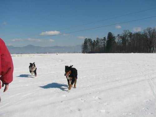 Atos na obisku pri Rini,11.2.2006(mengeško po - foto povečava