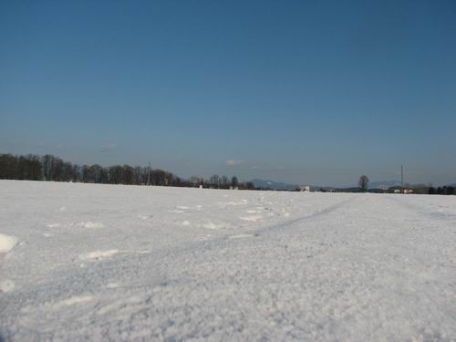 Sprehod na Mengeško polje,12.2.2006 - foto
