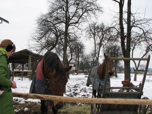 Pustni torek 2006 - foto