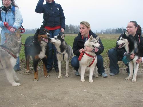 Rina,Aska,Kan,Alba in Lars na Mengeškem polju - foto povečava