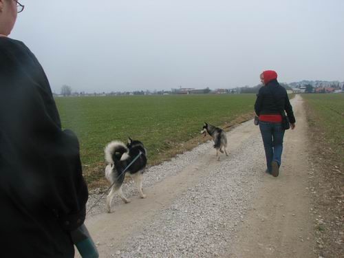 Rina,Aska,Kan,Alba in Lars na Mengeškem polju - foto povečava