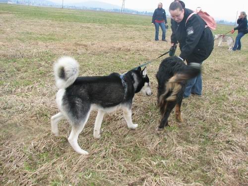 Rina,Aska,Kan,Alba in Lars na Mengeškem polju - foto povečava