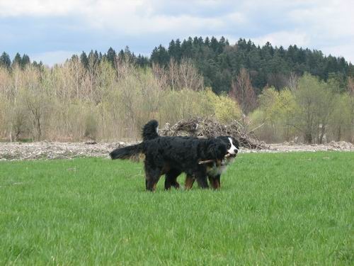 Atos na obisku pri Rini,13.4.2006 - foto povečava