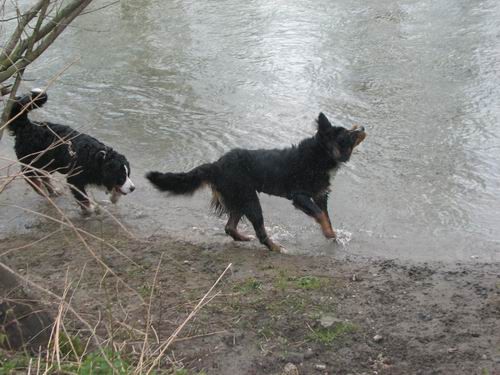 Atos na obisku pri Rini,13.4.2006 - foto povečava