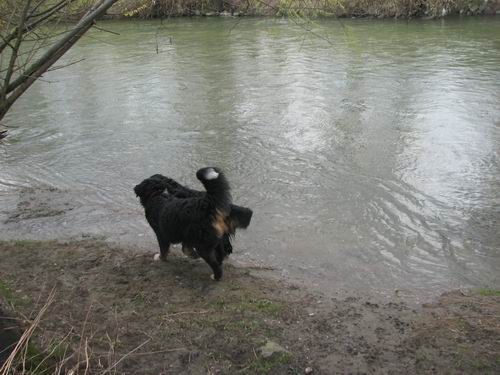 Atos na obisku pri Rini,13.4.2006 - foto povečava