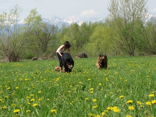 Rina,Fido in Chaya-Sprehod,25.4.2006 - foto