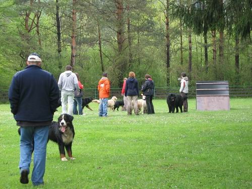 3.PeSjanarsko srečanje,Varpolje,29.4.2006 - foto