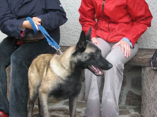 3.PeSjanarsko srečanje,Varpolje,29.4.2006 - foto povečava