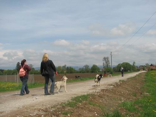 Sprehod na Dobeno(Rina,Atos,Kan,Aska,Alba in  - foto