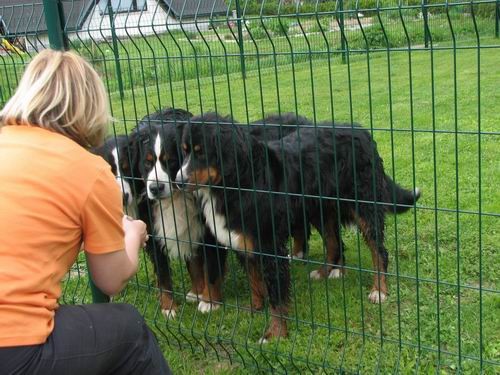 Družinsko srečanje bernijev:Koroška,13.5.2006 - foto