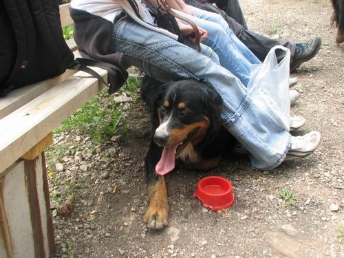 Družinsko srečanje bernijev:Koroška,13.5.2006 - foto