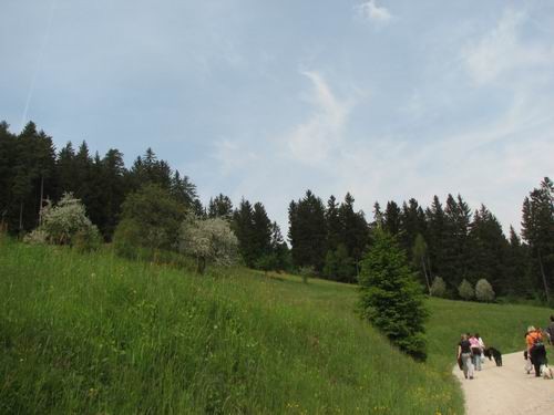 Družinsko srečanje bernijev:Koroška,13.5.2006 - foto povečava