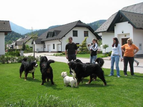 Družinsko srečanje bernijev:Koroška,13.5.2006 - foto povečava