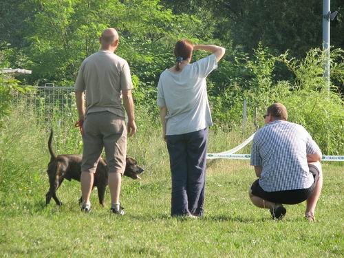 Rally obedience-izpit,18.6.2006 - foto