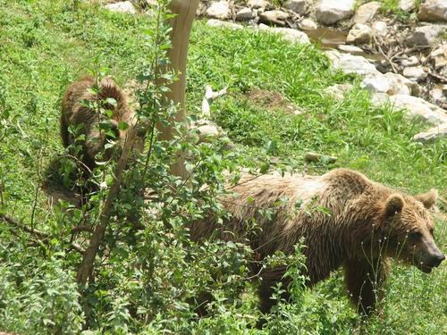 Rina in Atos;izlet v Iški vintgar in v živals - foto povečava