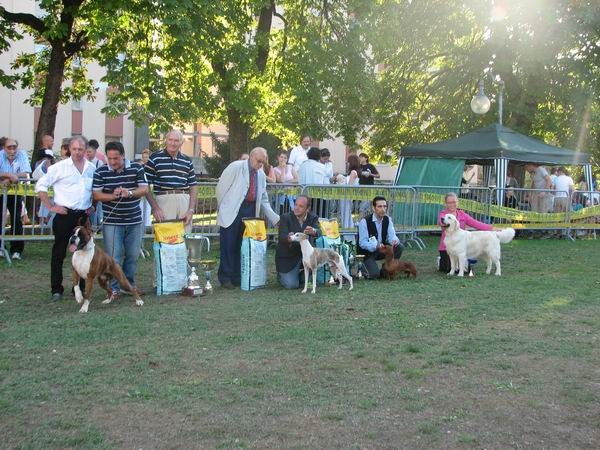 Gradisca(I),15.8.2006 - foto povečava