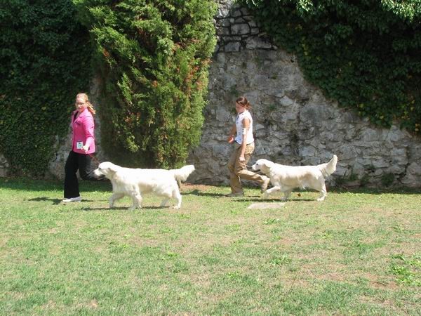 Gradisca(I),15.8.2006 - foto povečava