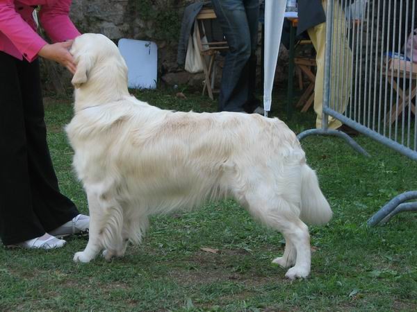 Gradisca(I),15.8.2006 - foto povečava