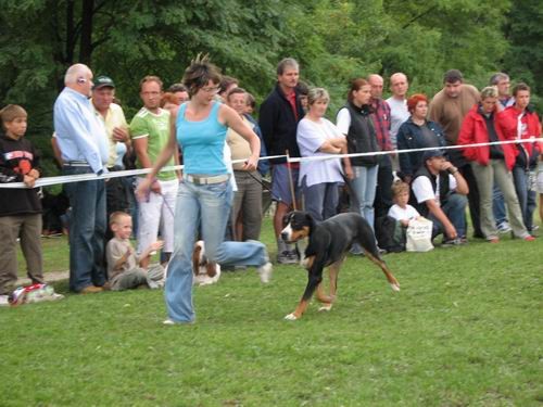 CAC Trbovlje,27.8.2006 - foto povečava