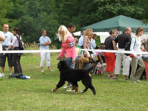 CAC Trbovlje,27.8.2006 - foto