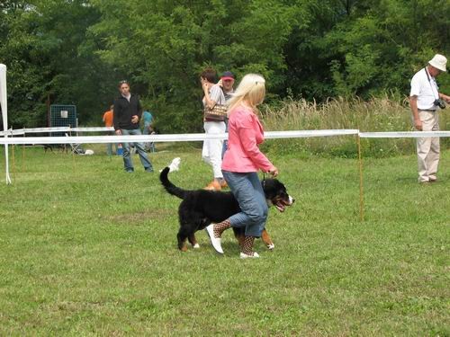 CAC Trbovlje,27.8.2006 - foto