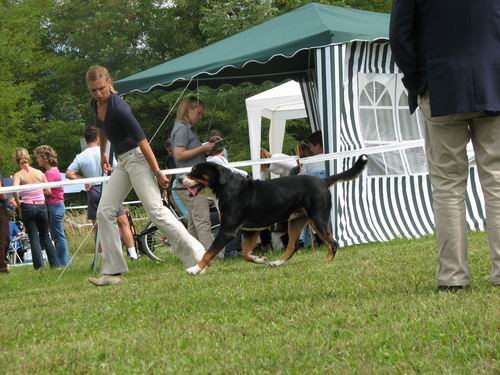 CAC Trbovlje,27.8.2006 - foto