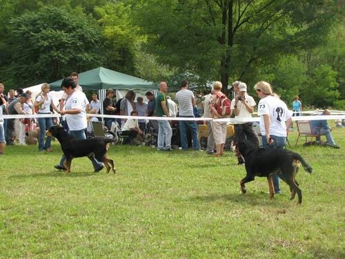 CAC Trbovlje,27.8.2006 - foto