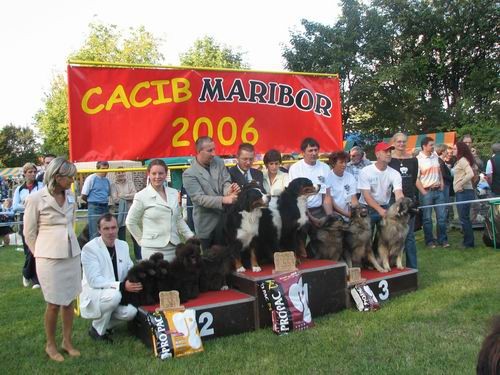 CACIB Maribor,24.9.2006 - foto
