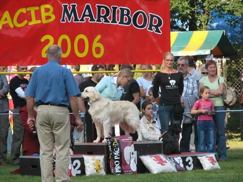 CACIB Maribor,24.9.2006 - foto