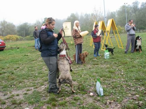 5.rally obedience tekma,21.10.2006 - foto