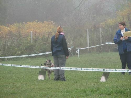 5.rally obedience tekma,21.10.2006 - foto povečava