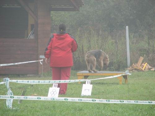 5.rally obedience tekma,21.10.2006 - foto povečava