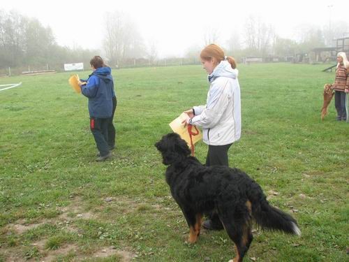 5.rally obedience tekma,21.10.2006 - foto povečava