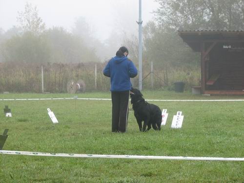 5.rally obedience tekma,21.10.2006 - foto povečava