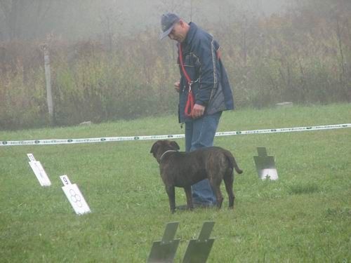 5.rally obedience tekma,21.10.2006 - foto povečava