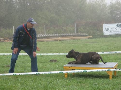 5.rally obedience tekma,21.10.2006 - foto povečava