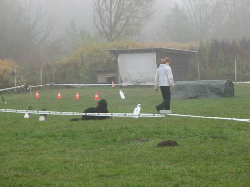 5.rally obedience tekma,21.10.2006 - foto povečava