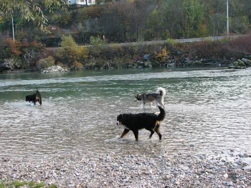 5.PeSjanarsko srečanje,29.10.2006 - foto